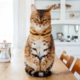 Keeping Homes in Winnipeg Ready to Show With Pets